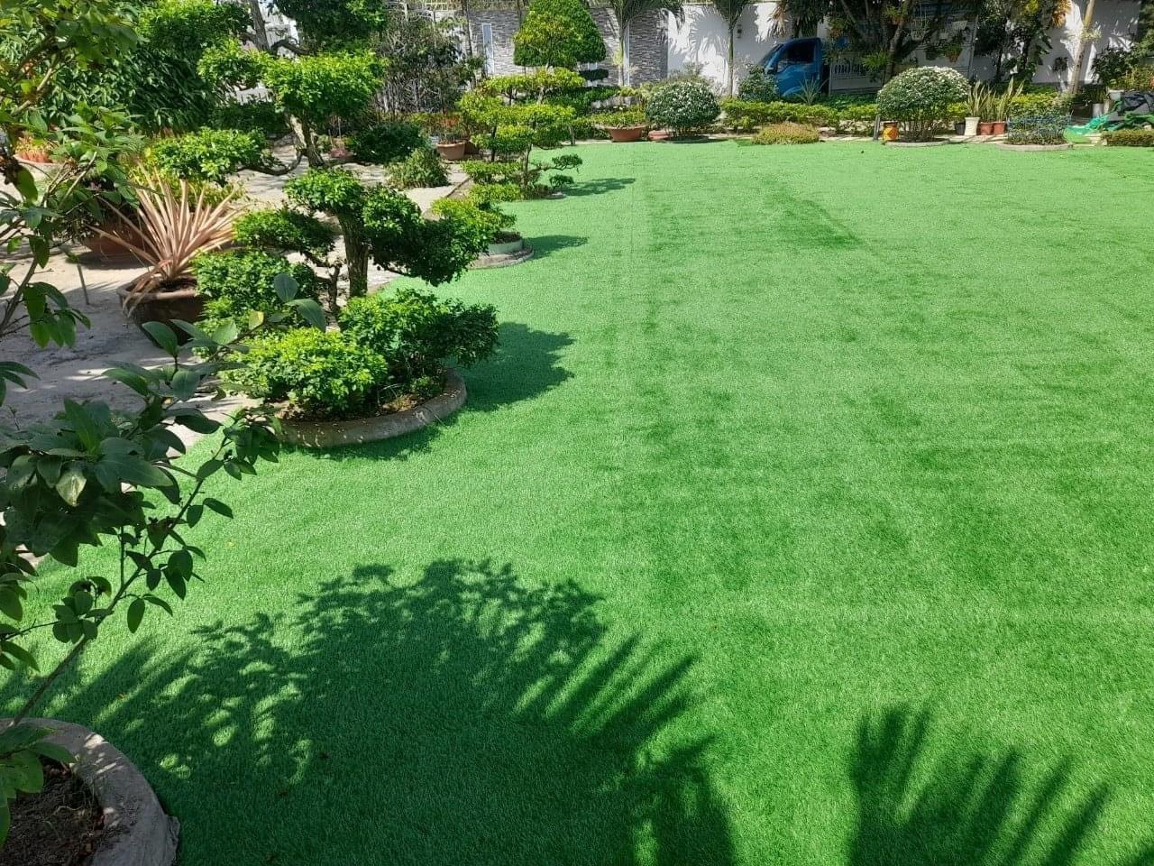 Dự án thảm cỏ 15