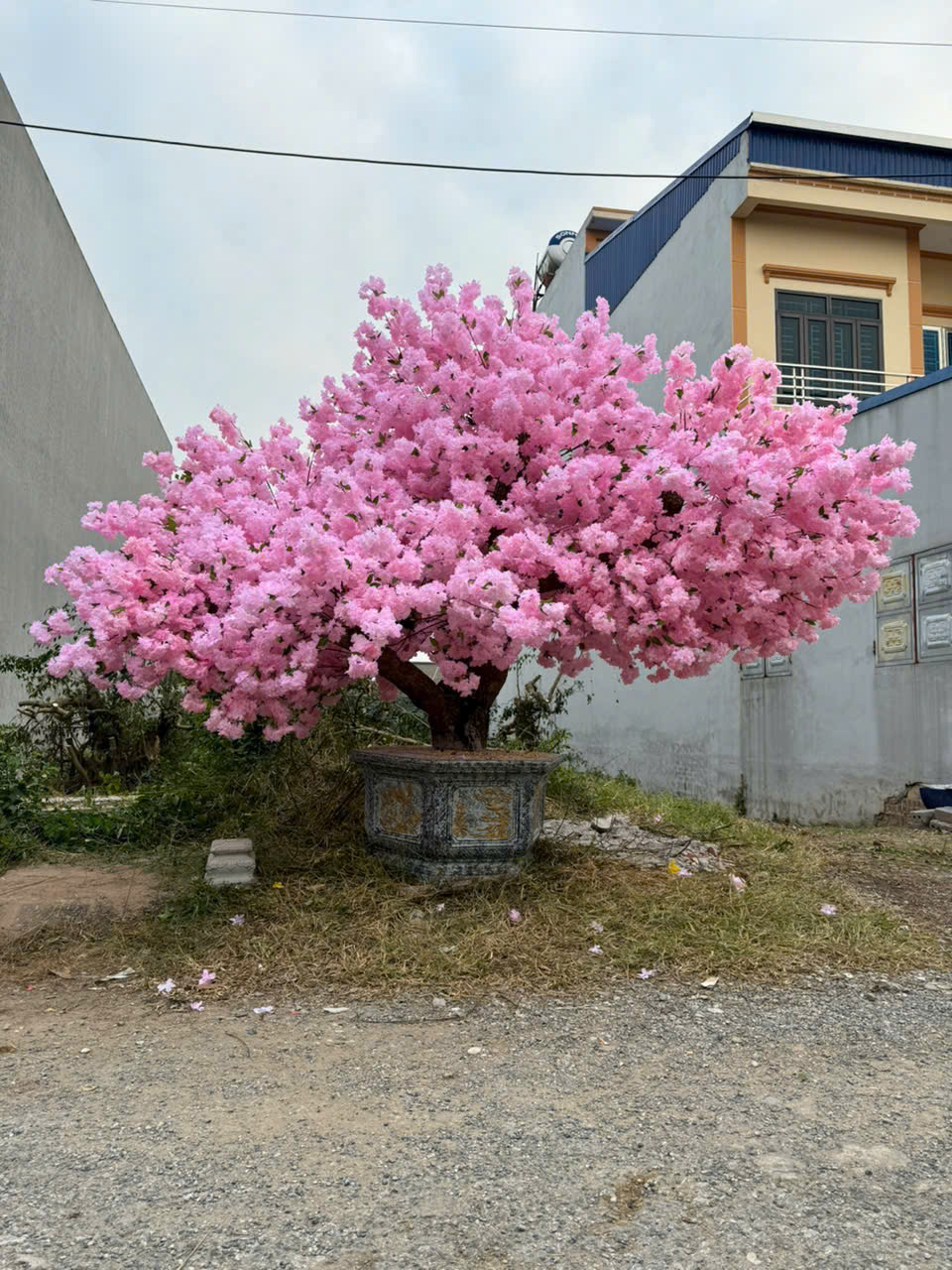 Decor cây giả 17