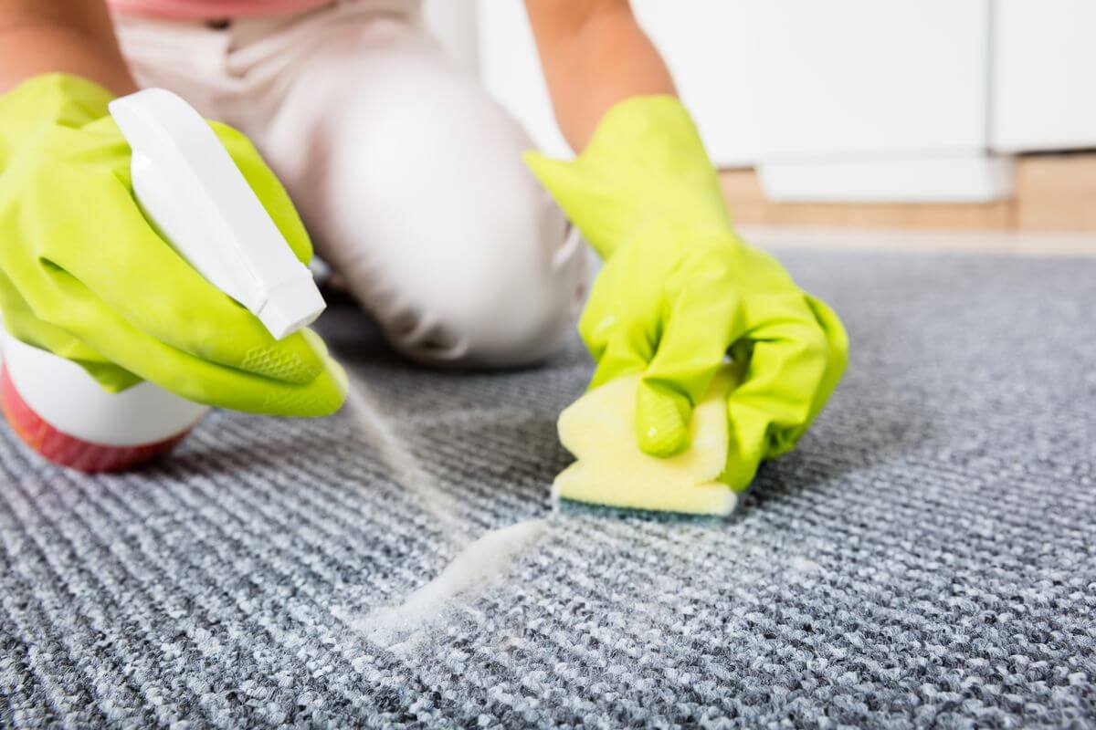 Hướng Dẫn Vệ Sinh Và Bảo Quản Thảm Trải Sàn Đúng Cách