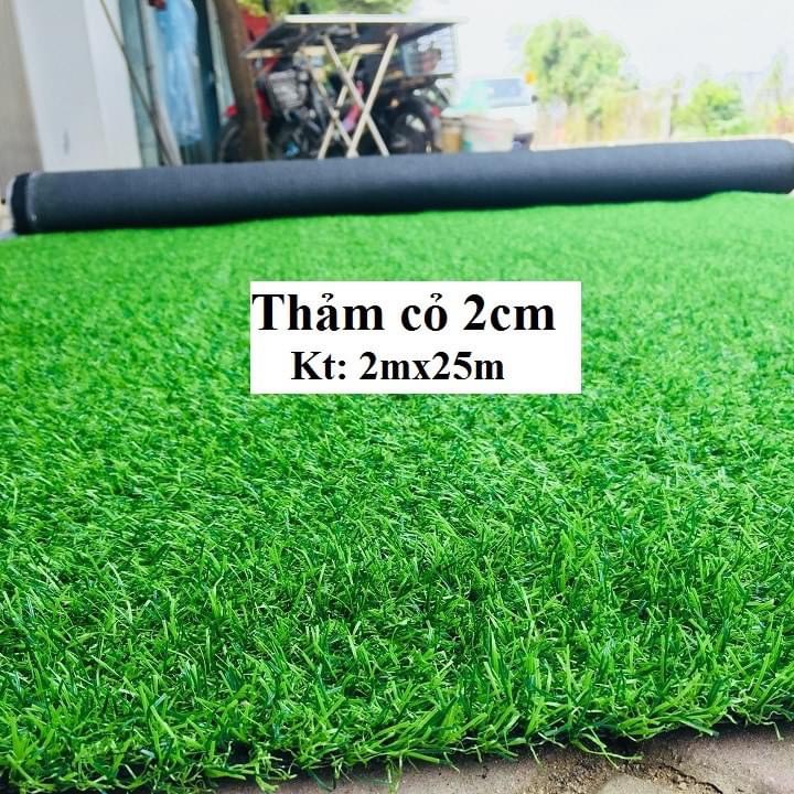 Cỏ Thảm CT 04